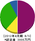 松川工務店 貸借対照表 2012年4月期