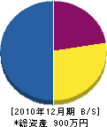 米田電気商会 貸借対照表 2010年12月期