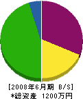 大倉水道 貸借対照表 2008年6月期