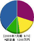 堀江電業 貸借対照表 2009年7月期