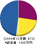 島津電業社 貸借対照表 2009年12月期