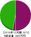 吉岡勝治 貸借対照表 2010年12月期