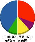 架設工事佐々木組 貸借対照表 2009年10月期