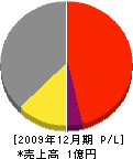 野沢高圧瓦工業所 損益計算書 2009年12月期