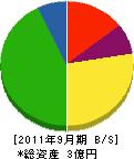 山川電気工業所 貸借対照表 2011年9月期