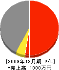 伊藤電気 損益計算書 2009年12月期