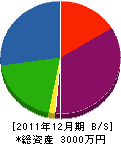 三京電気工事 貸借対照表 2011年12月期
