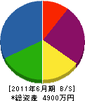 日晃建設 貸借対照表 2011年6月期