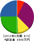 斉藤管工事 貸借対照表 2012年6月期