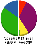 松井建設 貸借対照表 2012年2月期