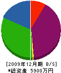佐々木土木 貸借対照表 2009年12月期
