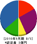柴田建設 貸借対照表 2010年9月期