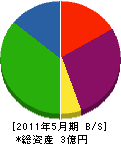 桜ノ宮興起 貸借対照表 2011年5月期