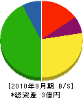 山川電気工業所 貸借対照表 2010年9月期
