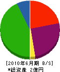 日本運動施設サービス 貸借対照表 2010年6月期