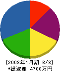 宮川清志建具店 貸借対照表 2008年1月期