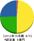 岩田建設 貸借対照表 2012年10月期