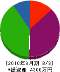 吉川工務店 貸借対照表 2010年6月期