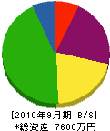 森田塗装店 貸借対照表 2010年9月期