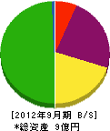 中田硝子 貸借対照表 2012年9月期
