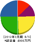 栃木県安全施設業（同） 貸借対照表 2012年3月期