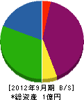 田中工業所 貸借対照表 2012年9月期
