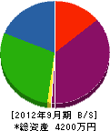 上野硝子建材 貸借対照表 2012年9月期