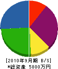 貞正建設 貸借対照表 2010年9月期