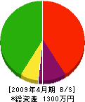 豊平造園土木 貸借対照表 2009年4月期