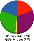 早田建設 貸借対照表 2010年5月期