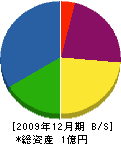 勝村建設 貸借対照表 2009年12月期