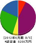 荻野電気工事 貸借対照表 2012年6月期