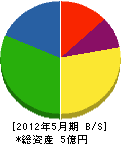 カワムラ 貸借対照表 2012年5月期
