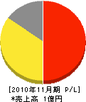 阪南メンテナンス 損益計算書 2010年11月期