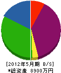 冨田組 貸借対照表 2012年5月期