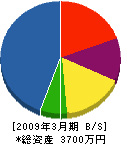 牧田電気商会 貸借対照表 2009年3月期