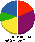 金子住建興業 貸借対照表 2011年6月期