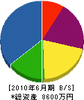 冨田造園 貸借対照表 2010年6月期
