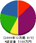 愛豊土木興業 貸借対照表 2009年12月期