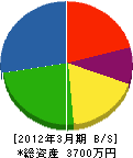 長谷川工業所 貸借対照表 2012年3月期
