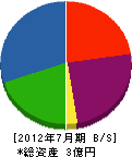 鎌田工業 貸借対照表 2012年7月期