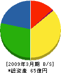 中田建設 貸借対照表 2009年3月期