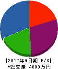 亀山緑園 貸借対照表 2012年9月期