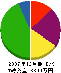 佐藤技建 貸借対照表 2007年12月期