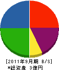 廣栄住宅 貸借対照表 2011年9月期