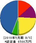 ヤマキ電気工業所 貸借対照表 2010年5月期