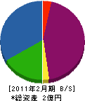 辻本開発 貸借対照表 2011年2月期