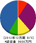早川建材設備 貸借対照表 2012年12月期