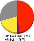 芳賀総合システム 損益計算書 2011年6月期