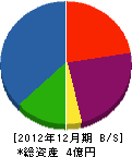 松浦工務店 貸借対照表 2012年12月期